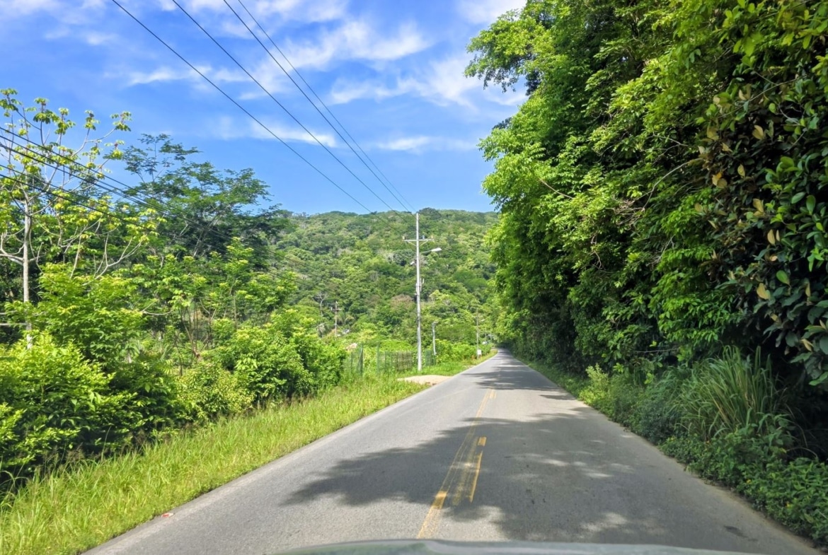 Rural road flanked by lush greenery and utility poles, stretching toward tree-covered hills under a blue sky.
