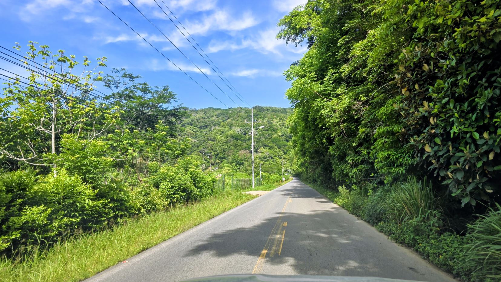 Rural road flanked by lush greenery and utility poles, stretching toward tree-covered hills under a blue sky.