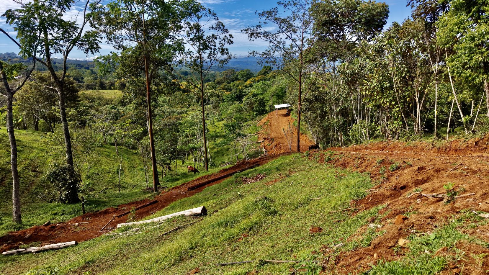 Rural hillside with a dirt road winding through trees and a small white-roofed shelter in the distance.