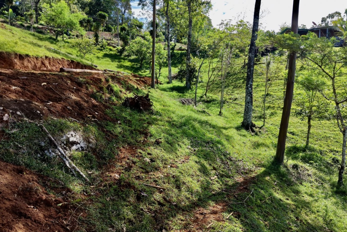 Hilly rural scene with exposed red soil, a grassy path winding through trees, and utility poles; houses visible in the distance.