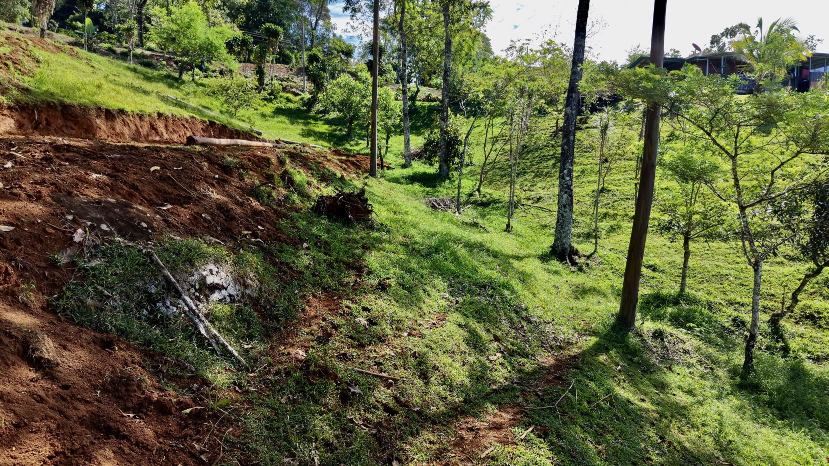 Hilly rural scene with exposed red soil, a grassy path winding through trees, and utility poles; houses visible in the distance.