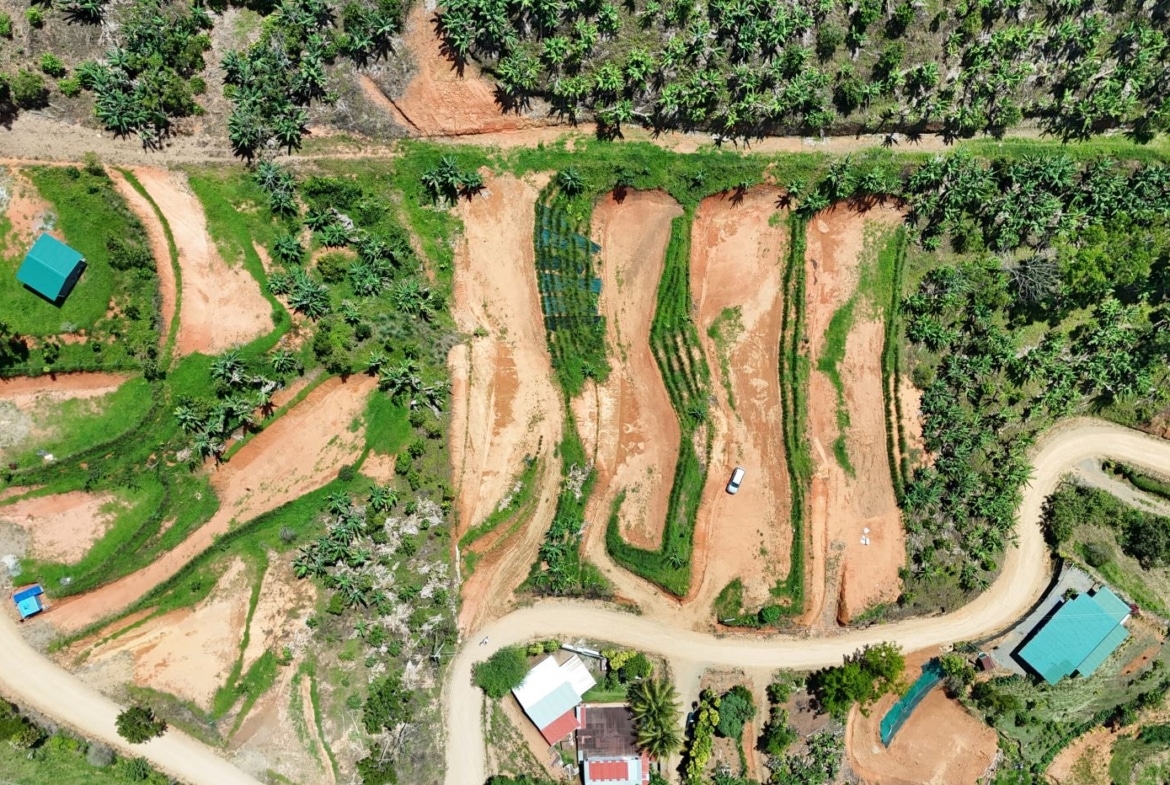 Aerial view of terraced farming plots with winding dirt roads and palm trees surrounding small teal-roofed buildings.