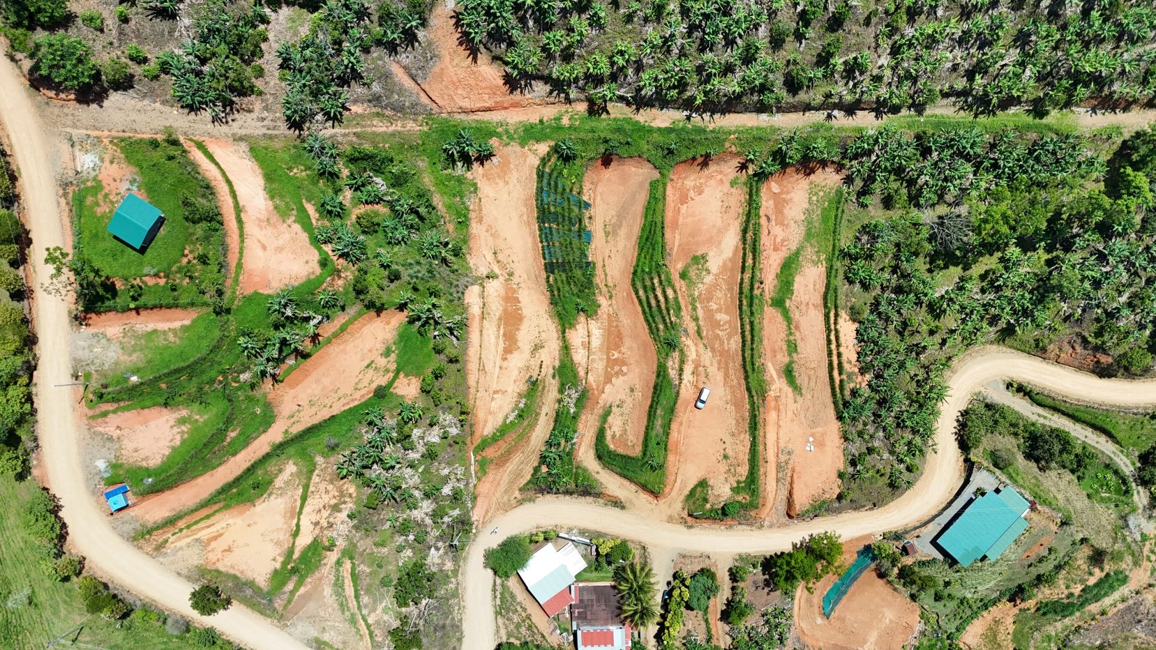 Aerial view of terraced farming plots with winding dirt roads and palm trees surrounding small teal-roofed buildings.