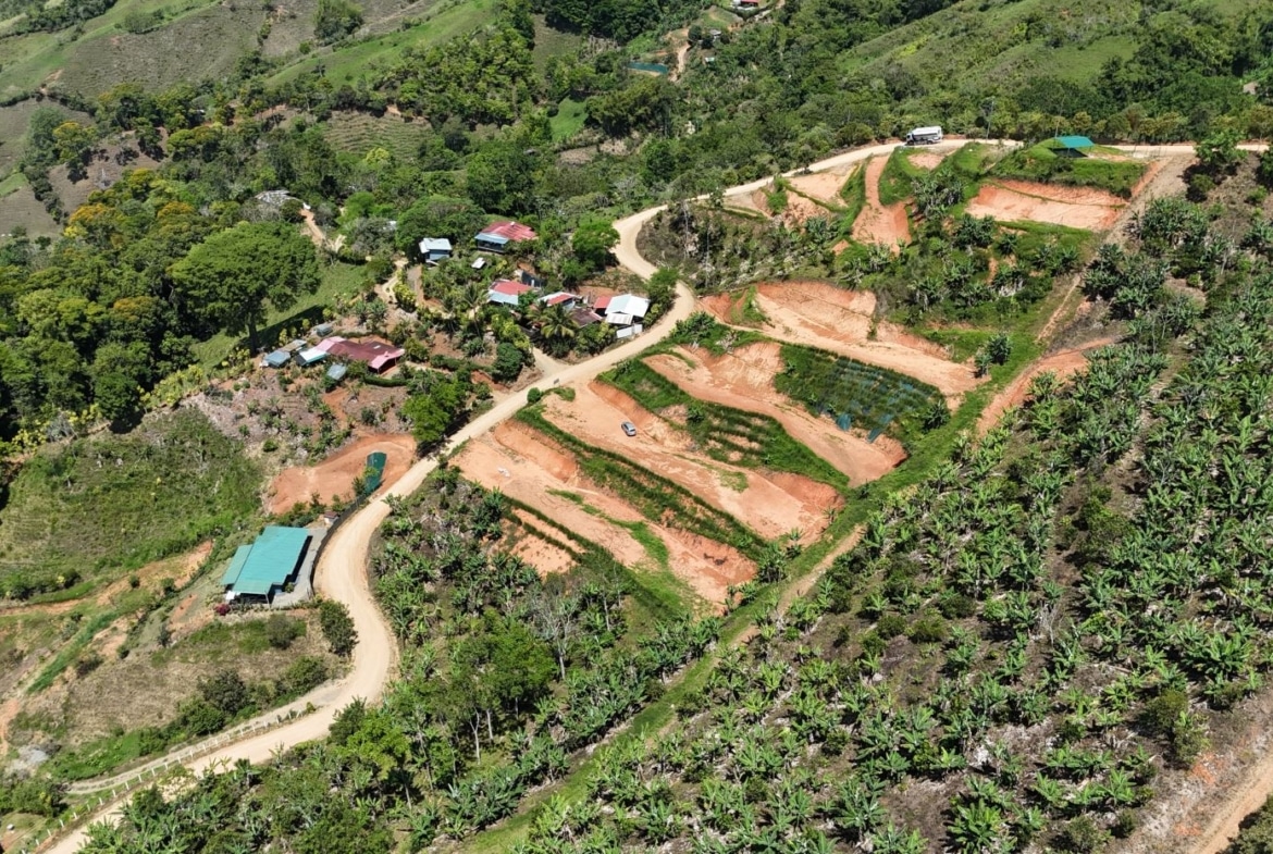 Aerial view of terraced farmland on a hillside with small village houses and palm trees nearby.