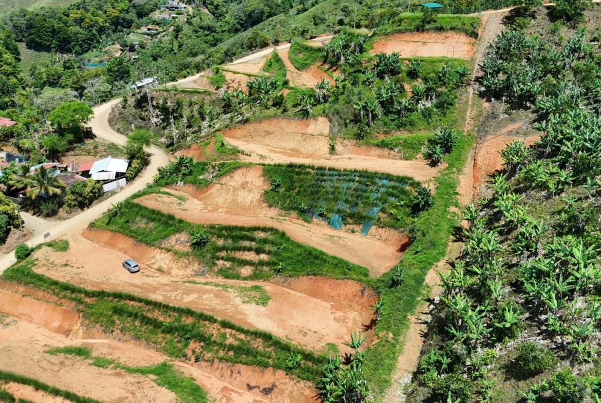 Aerial view of terraced hillside farmland with orange soil, banana trees, and a winding dirt road through a rural village on the left.