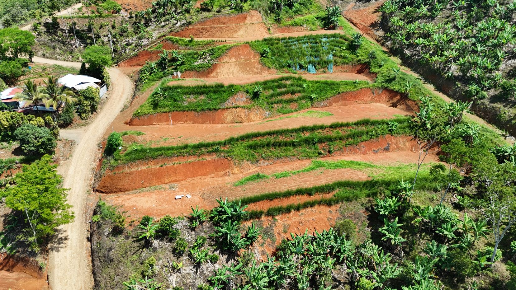 Aerial view of terraced red-soil fields with green crops on a hillside, a winding dirt road, and a small house with a white umbrella.