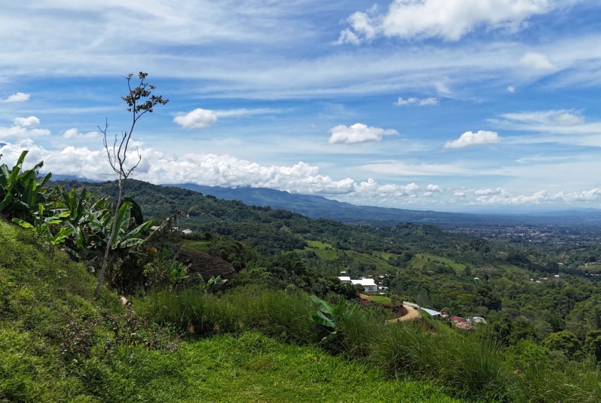 Rolling valley with green hills, a dirt road winding through, and distant houses under a bright blue sky with clouds.