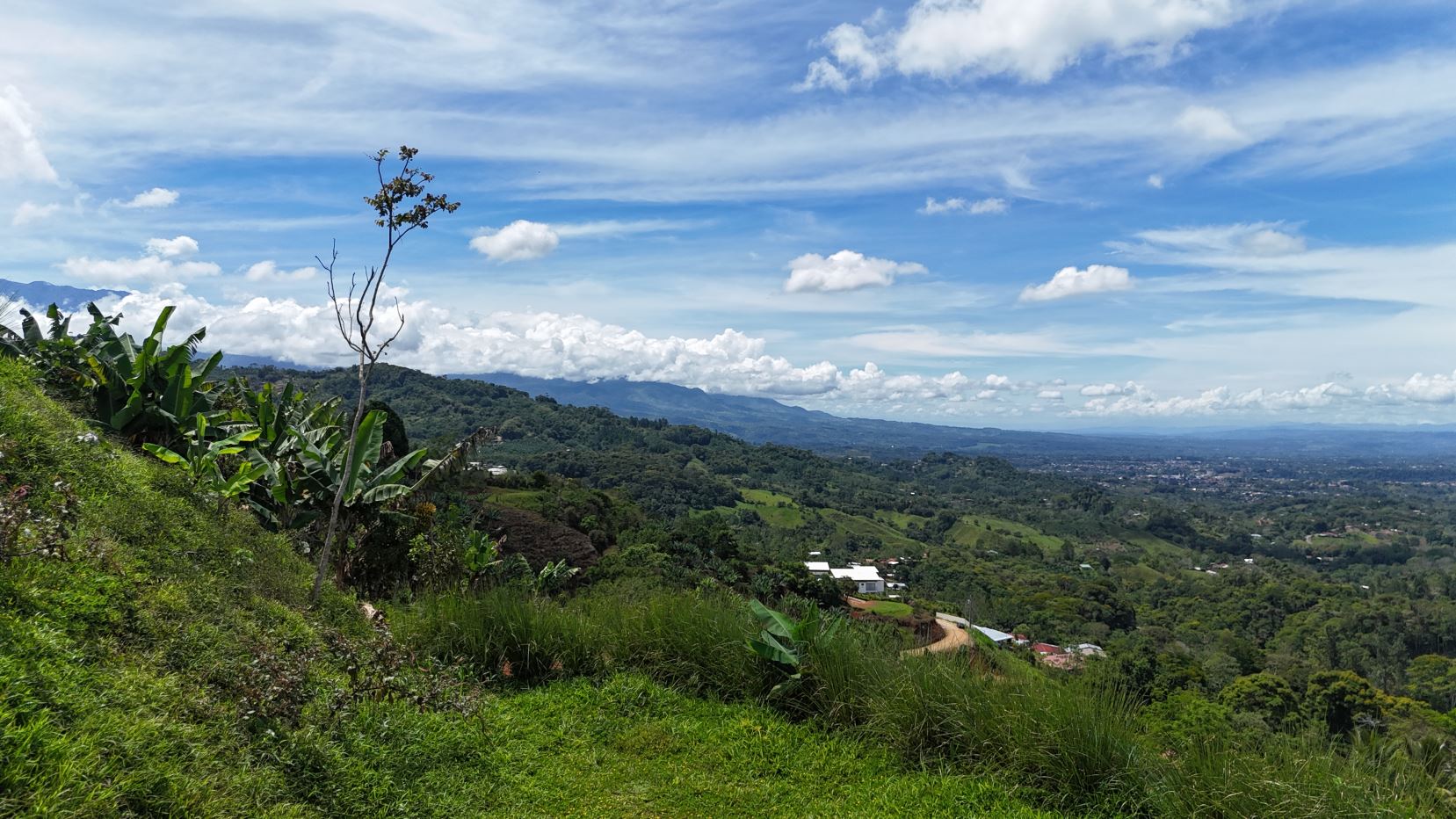Rolling valley with green hills, a dirt road winding through, and distant houses under a bright blue sky with clouds.