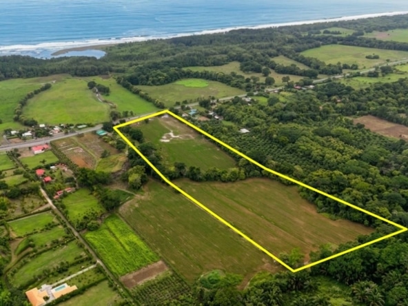 Aerial view of a large rectangular farmland parcel outlined in yellow near the coast, surrounded by trees and fields at the seaside.