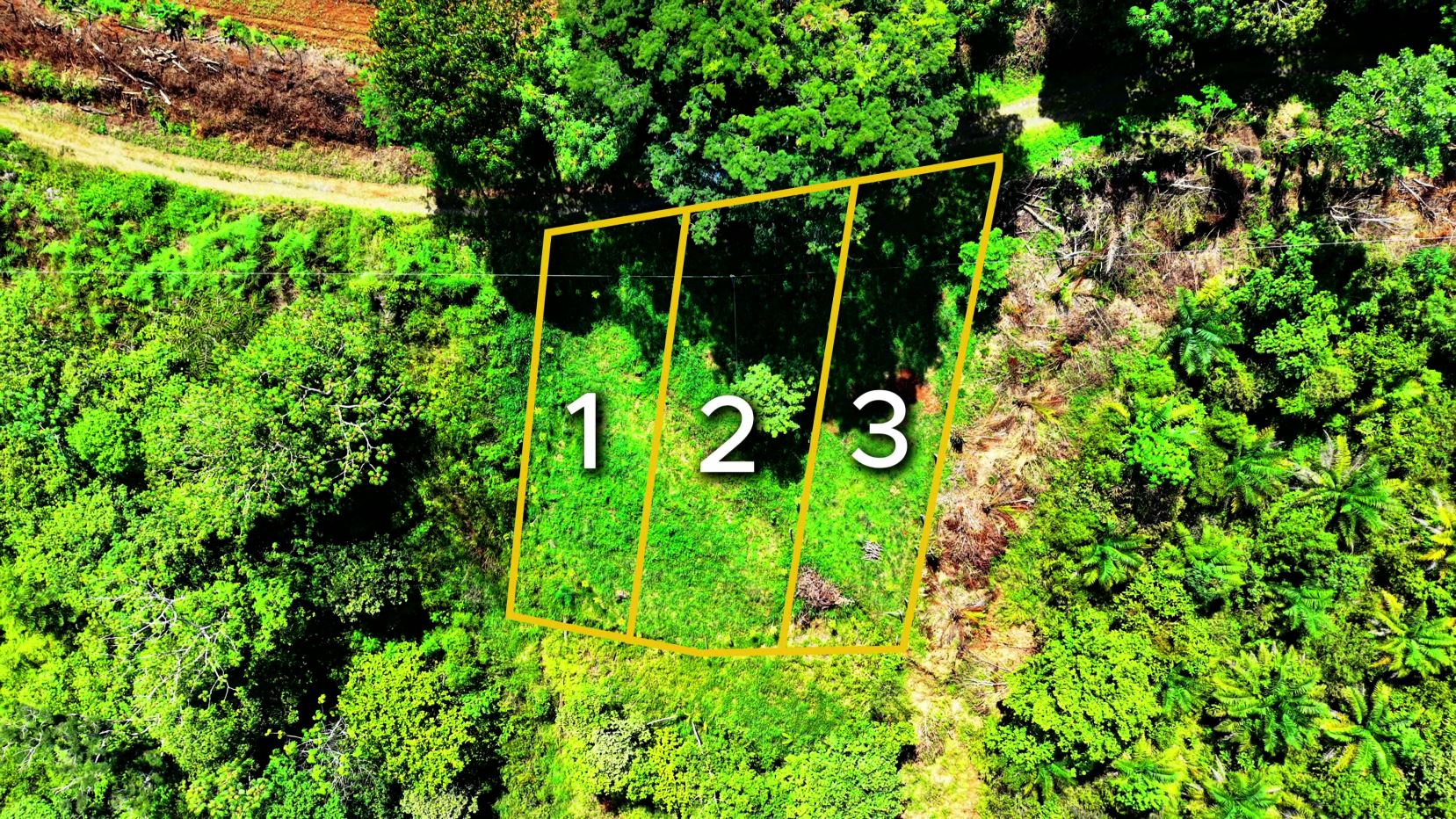 Aerial view of a dense green forest with three orange-outlined plots labeled 1, 2, and 3.