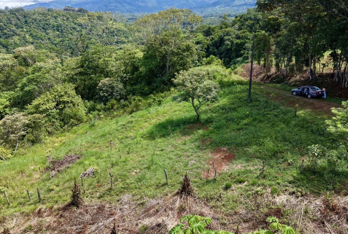Car parked on a dirt driveway beside a grassy hillside with dense trees and distant mountains under a blue sky.