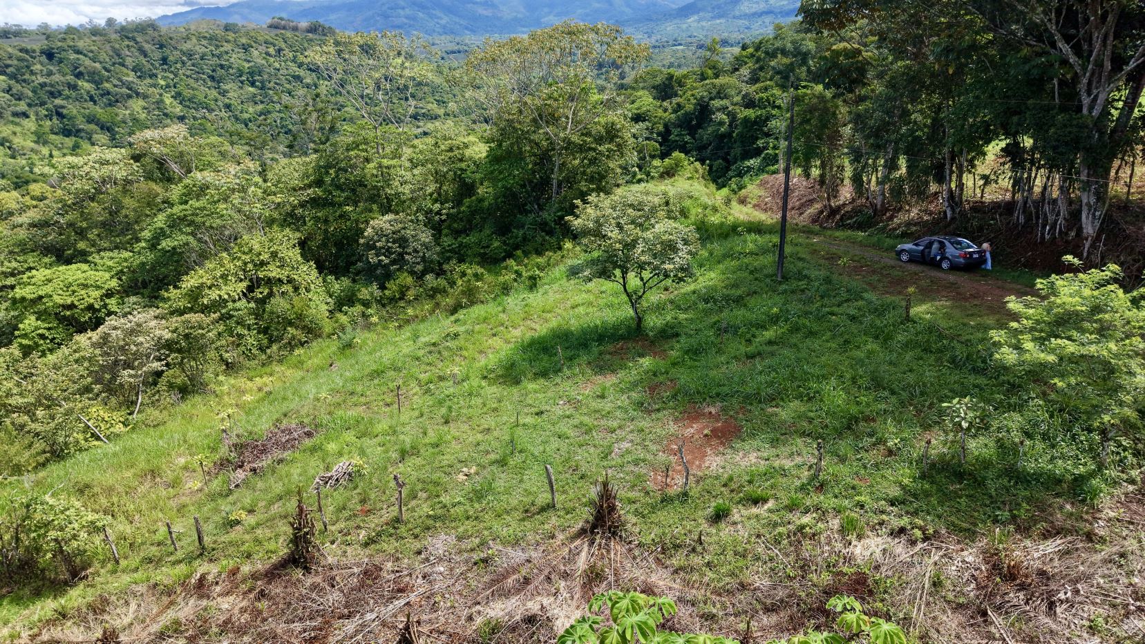 Car parked on a dirt driveway beside a grassy hillside with dense trees and distant mountains under a blue sky.