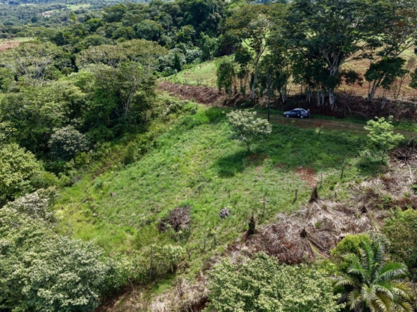 Aerial view of a grassy hillside with dense trees; a dark car parked on a dirt road along the treeline on the right side