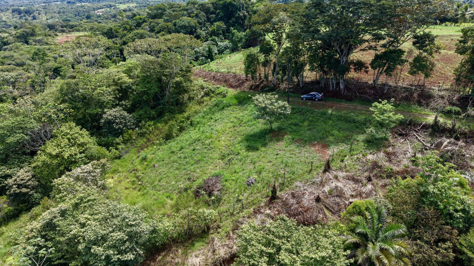 Aerial view of a grassy hillside with dense trees; a dark car parked on a dirt road along the treeline on the right side