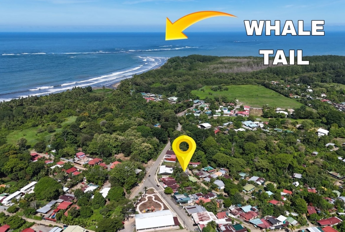 Aerial view of a coastal town with dense greenery, to the left a blue ocean and shoreline; a bright yellow map pin marks a street cluster near the center, with the label 'WHALE TAIL' in the sky above.
