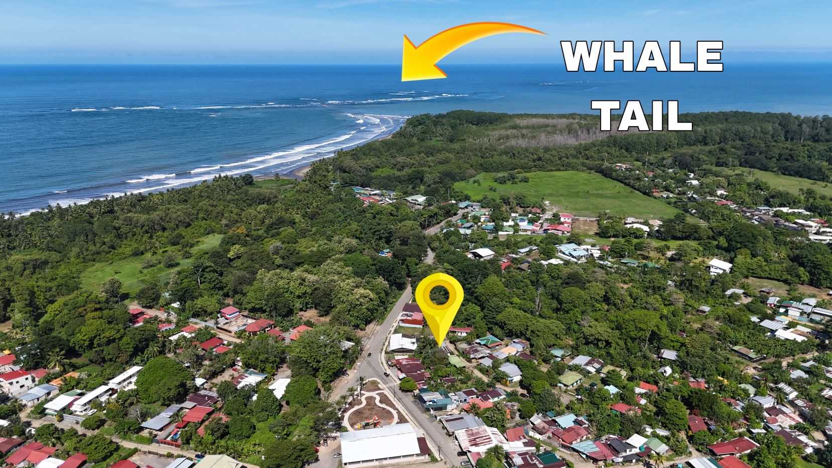 Aerial view of a coastal town with dense greenery, to the left a blue ocean and shoreline; a bright yellow map pin marks a street cluster near the center, with the label 'WHALE TAIL' in the sky above.