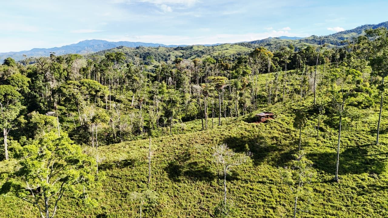 Aerial view of a dense green forest with rolling hills and a small cabin in a clearing.