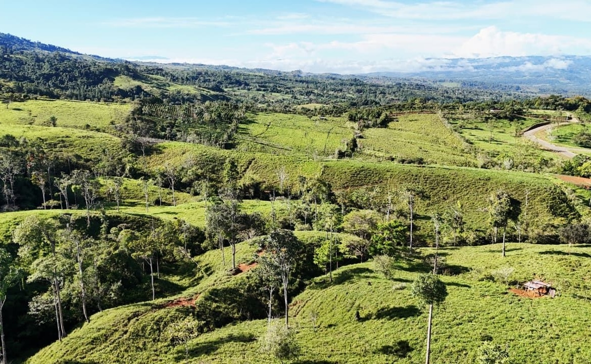 Pastoral hillside landscape with green fields, scattered trees, and distant mountains under a blue sky.
