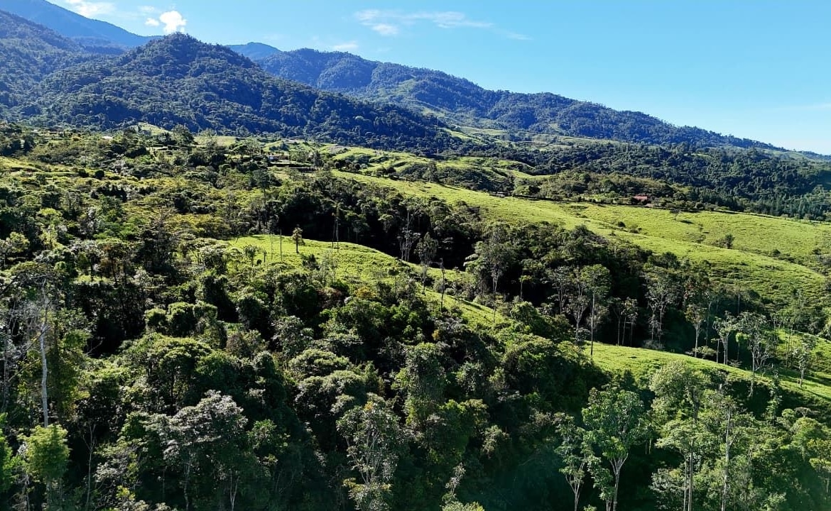 Aerial view of a lush valley with rolling green hills, scattered trees, and forested mountains under a clear blue sky, in daylight.