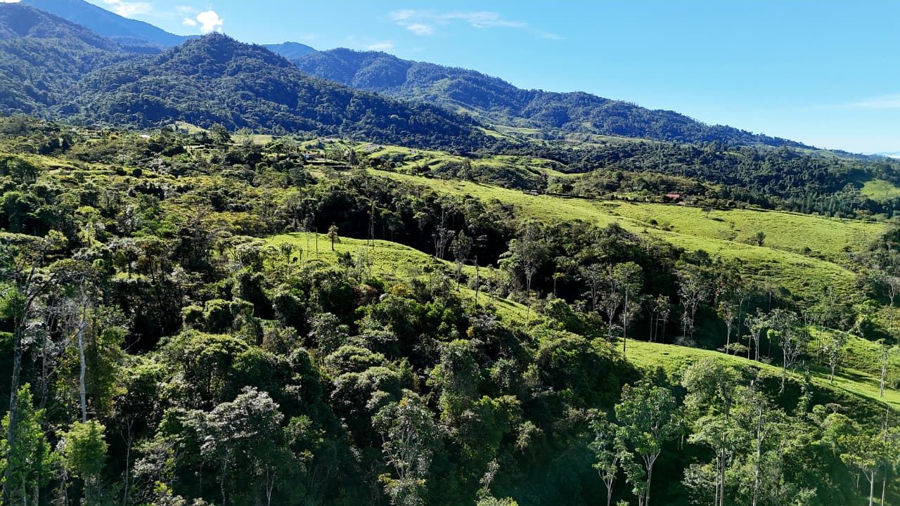 Aerial view of a lush valley with rolling green hills, scattered trees, and forested mountains under a clear blue sky, in daylight.