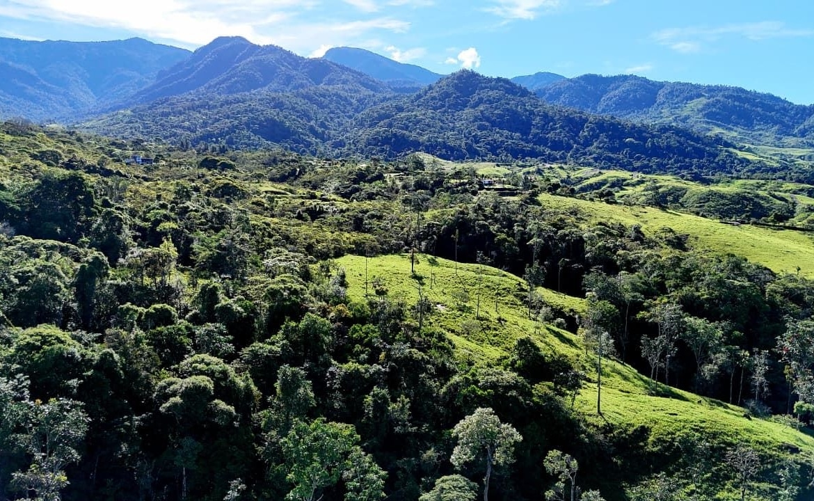Aerial view of green rolling hills and dense forest with distant blue mountains under a bright sky.