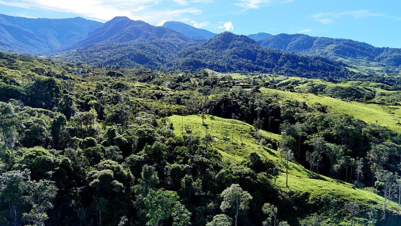 Aerial view of green rolling hills and dense forest with distant blue mountains under a bright sky.