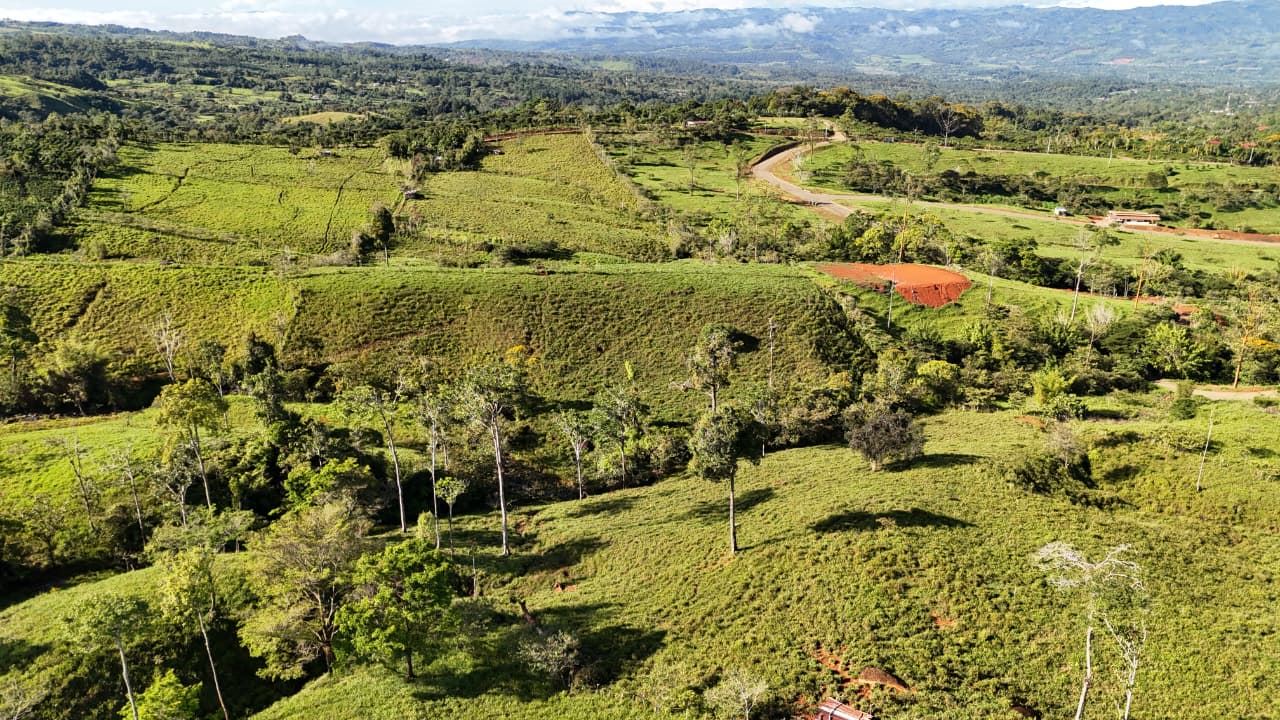 Aerial view of green rolling farmland with scattered trees and a winding road through the countryside.