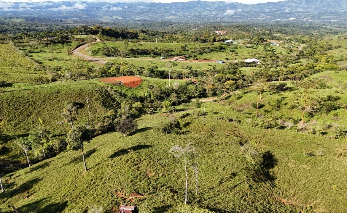 Aerial view of rolling green hills with scattered trees and small houses in a rural landscape under distant mountains.