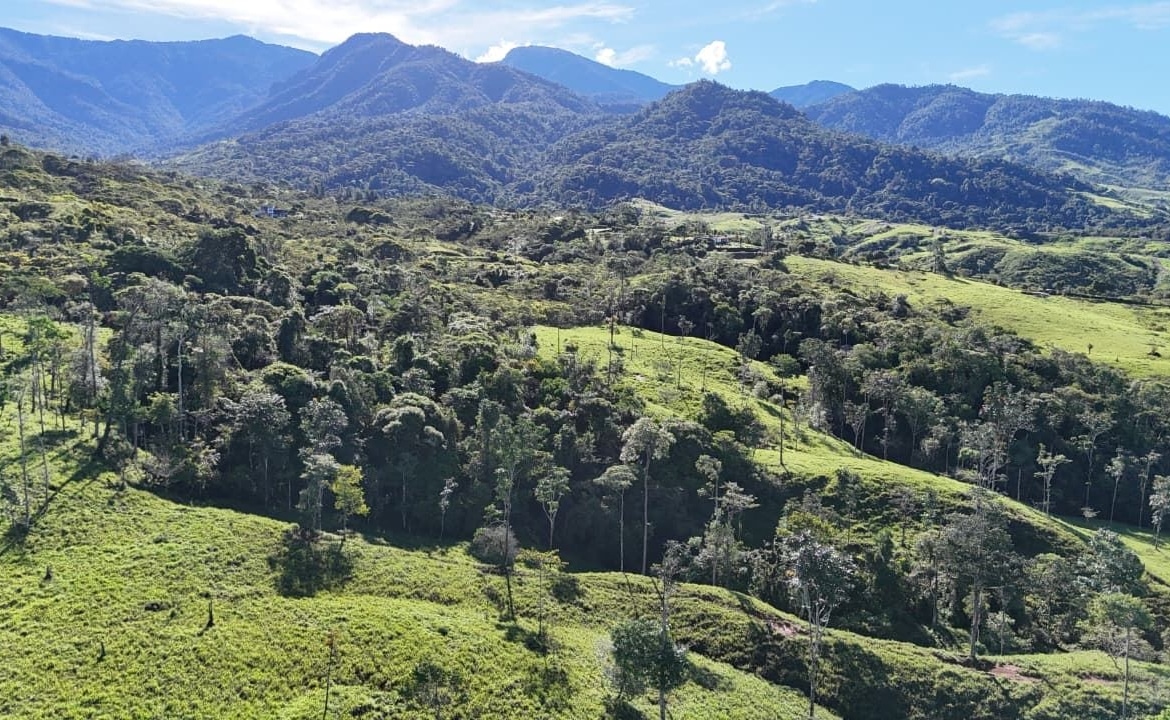 A lush green hillside landscape with scattered trees, rolling fields, and distant blue mountains under a clear sky.