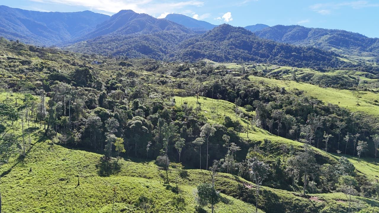 A lush green hillside landscape with scattered trees, rolling fields, and distant blue mountains under a clear sky.