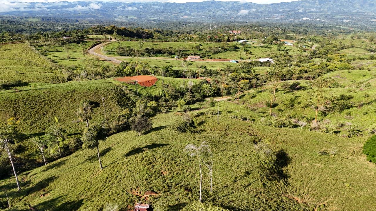 Aerial view of rolling green hills with scattered trees and small houses in a rural landscape under distant mountains.