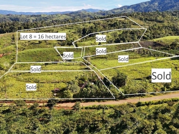 Aerial view of green hills with white parcel boundaries, Lot 8 = 16 hectares, and multiple Sold labels across plots