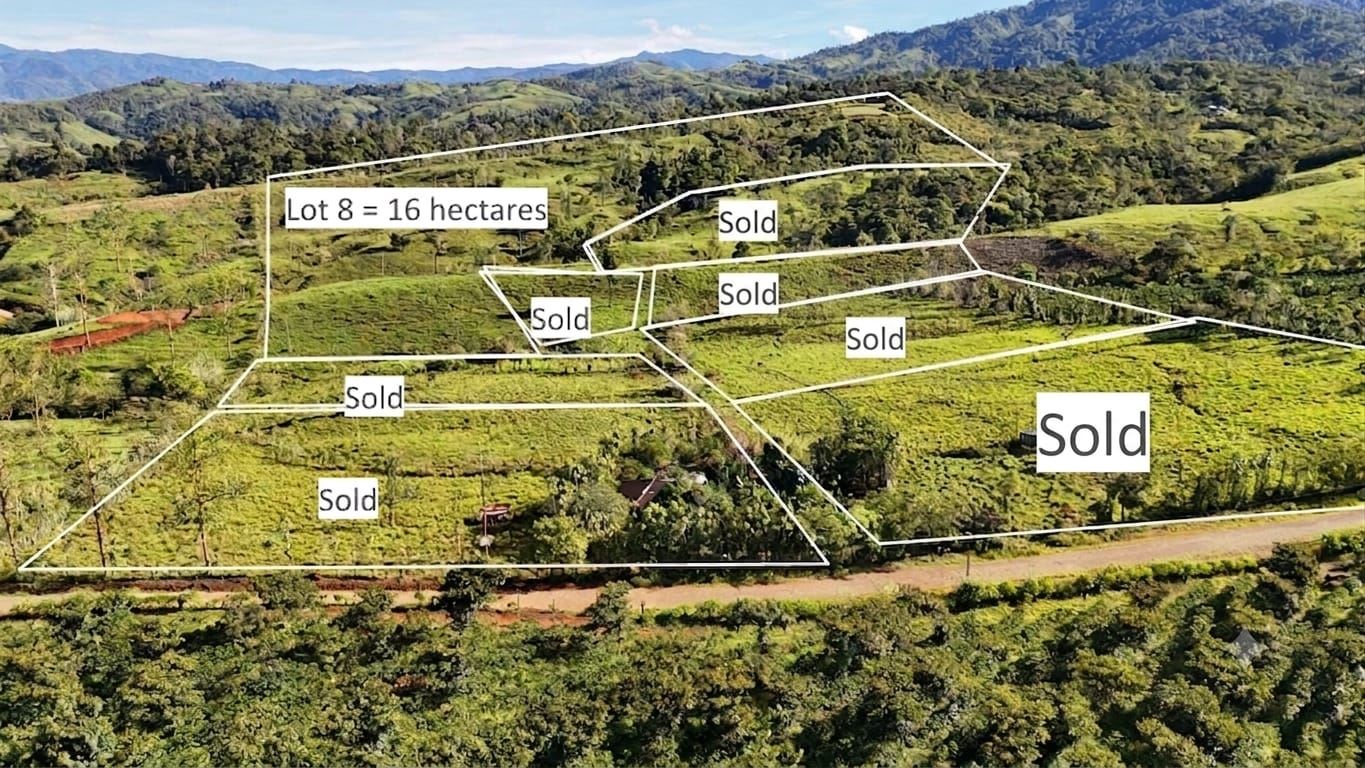 Aerial view of green hills with white parcel boundaries, Lot 8 = 16 hectares, and multiple Sold labels across plots