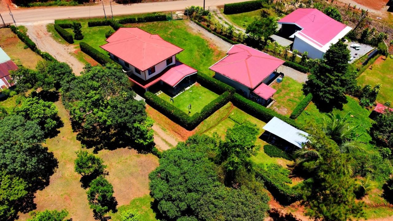 Aerial view of a residential neighborhood with two red-roofed houses surrounded by trimmed hedges and green lawns.