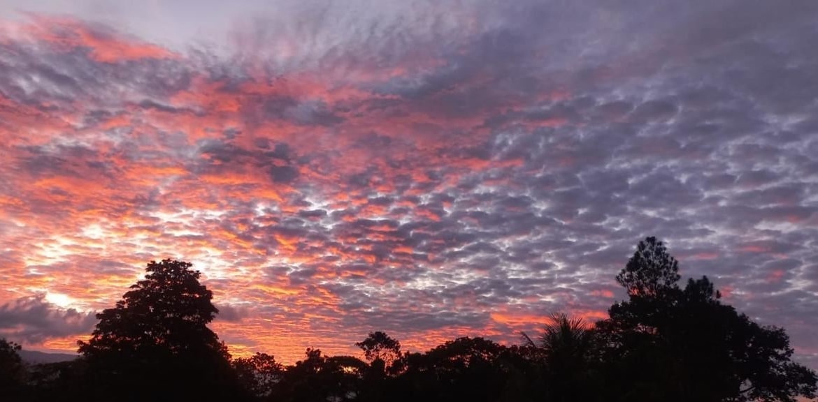 Sunset sky with orange-pink clouds above a dark treeline silhouetted along the horizon.