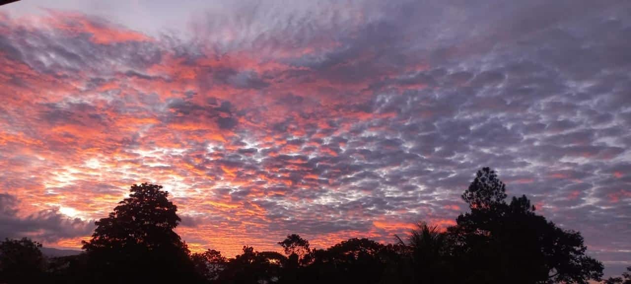 Sunset sky with orange-pink clouds above a dark treeline silhouetted along the horizon.