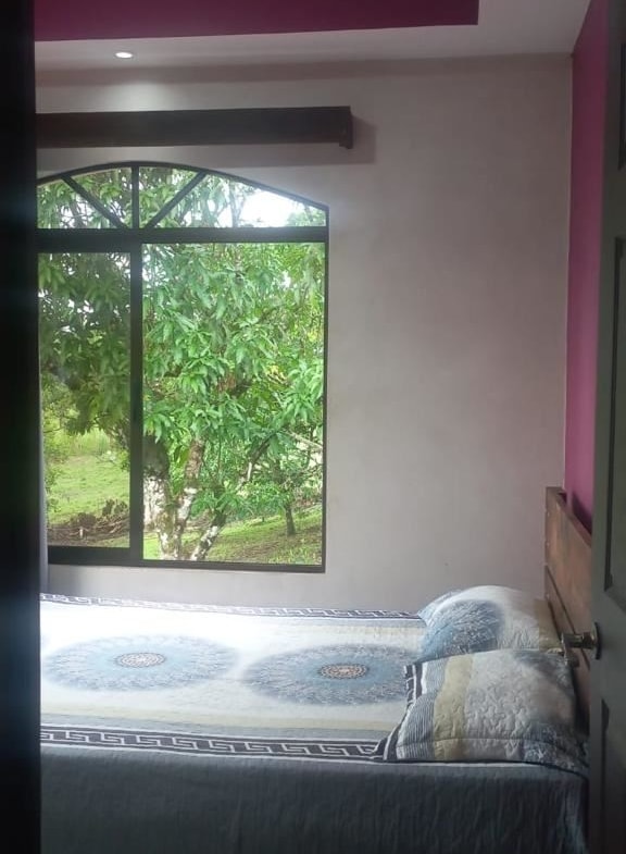 Bedroom with a large window showing green trees; queen bed with blue patterned bedding and pillows, purple wall accent nearby.