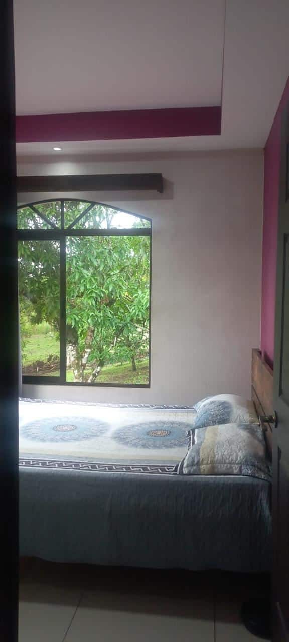 Bedroom with a large window showing green trees; queen bed with blue patterned bedding and pillows, purple wall accent nearby.