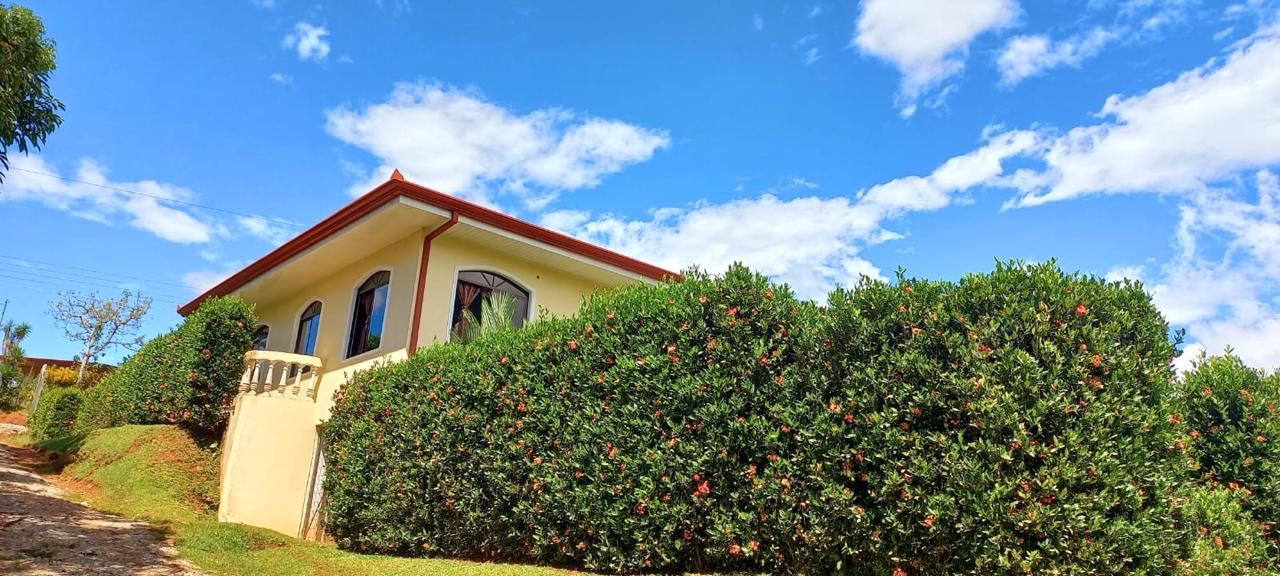 Single-story yellow house with a red roof partially hidden by a tall green hedge on a sunny day. Arched windows overlook a small balcony.