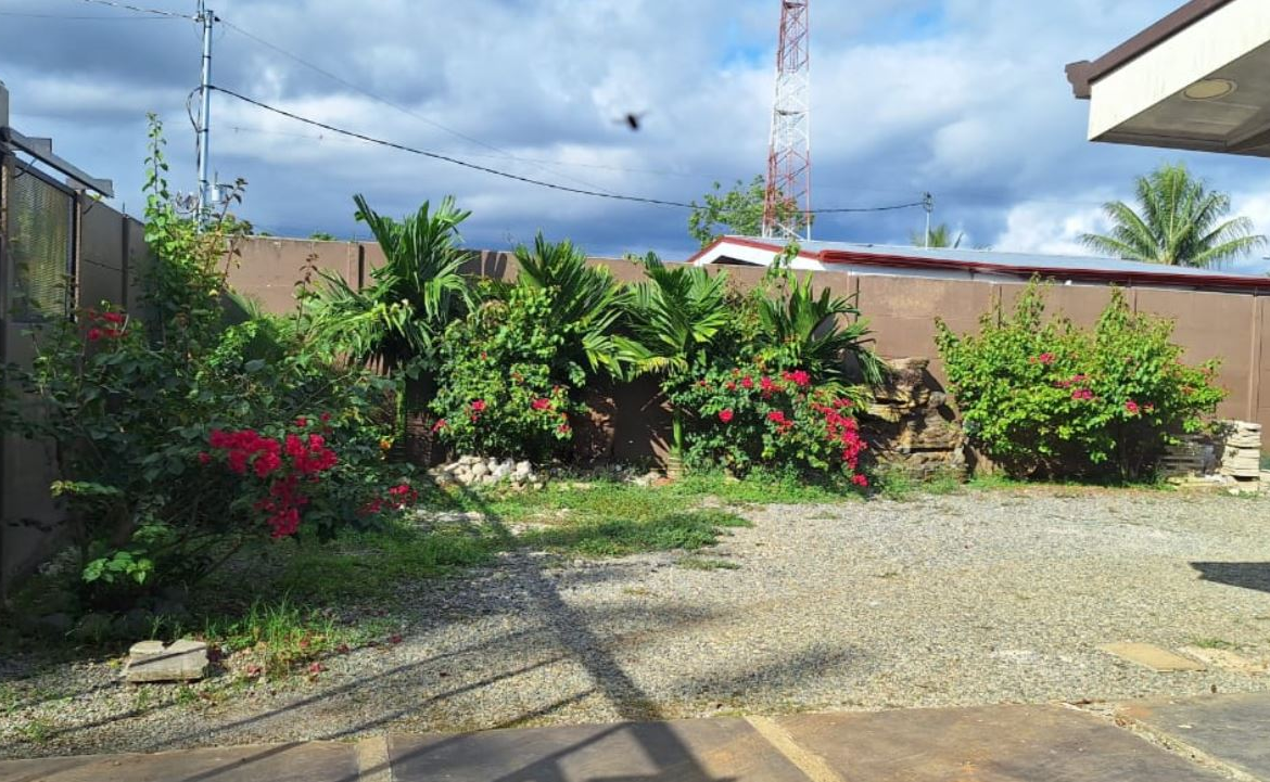 Backyard with gravel ground, red hibiscus bushes along a rock border, and a tall brown fence; a metal gate on the left and a stone patio on the right.