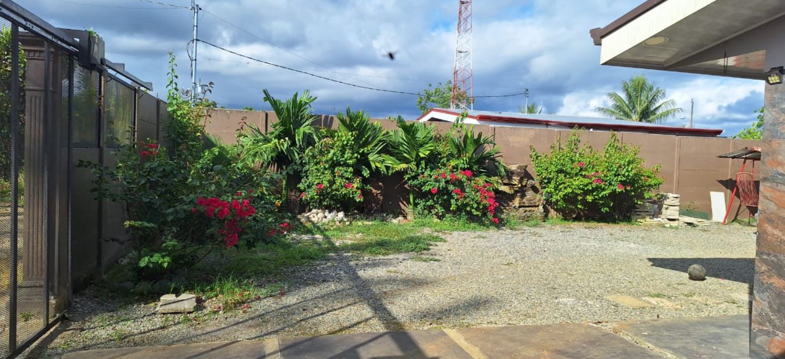 Backyard with gravel ground, red hibiscus bushes along a rock border, and a tall brown fence; a metal gate on the left and a stone patio on the right.