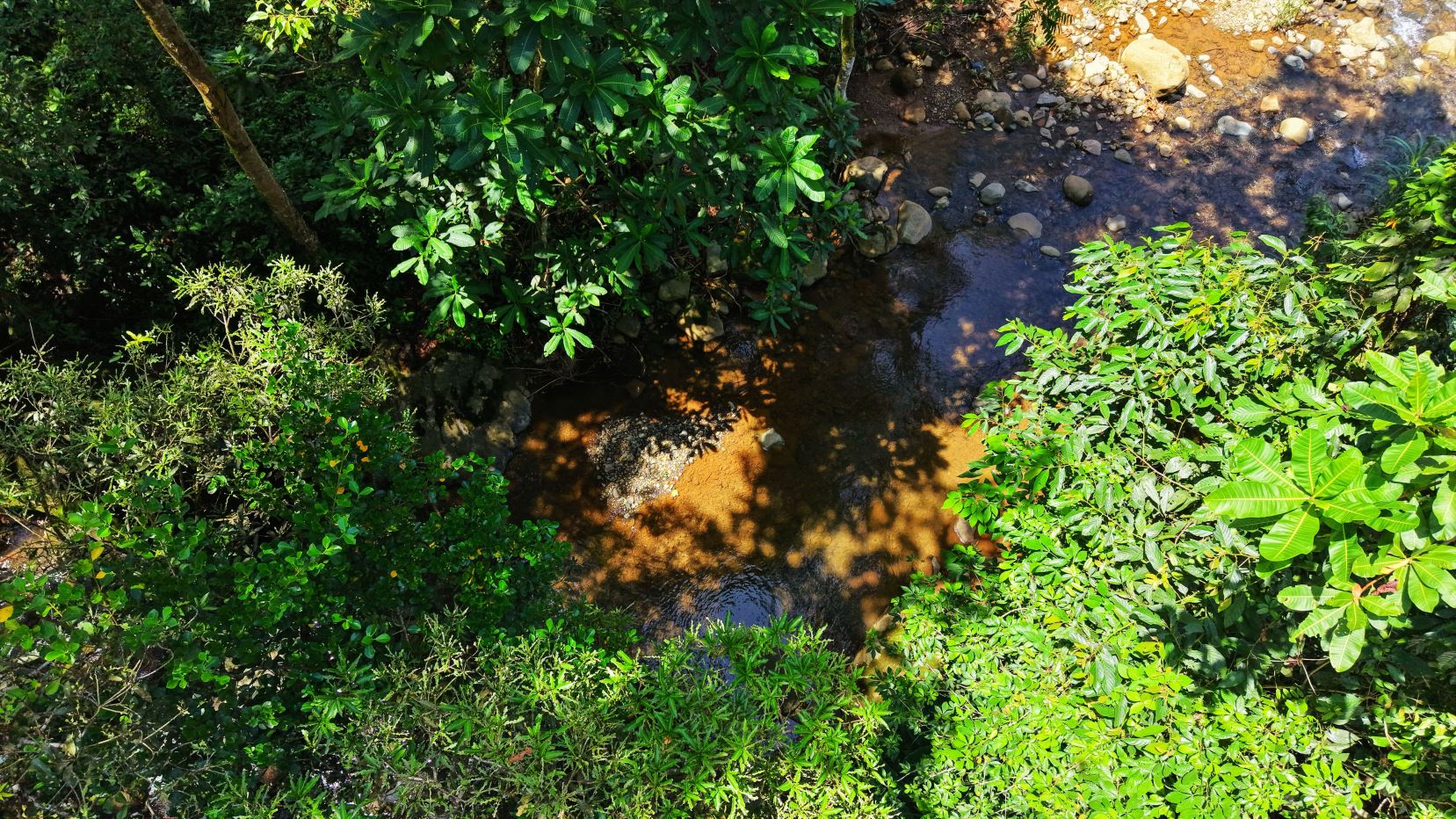 Aerial view of a narrow stream winding through dense tropical vegetation with rocks along the banks and sunlight glinting on the water edge.