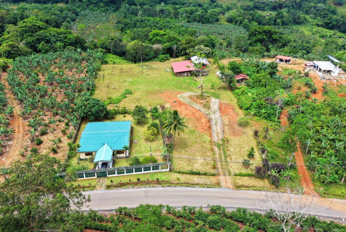 A rural property with a blue-roofed house surrounded by a tropical garden, banana trees, and dirt roads in a green landscape.