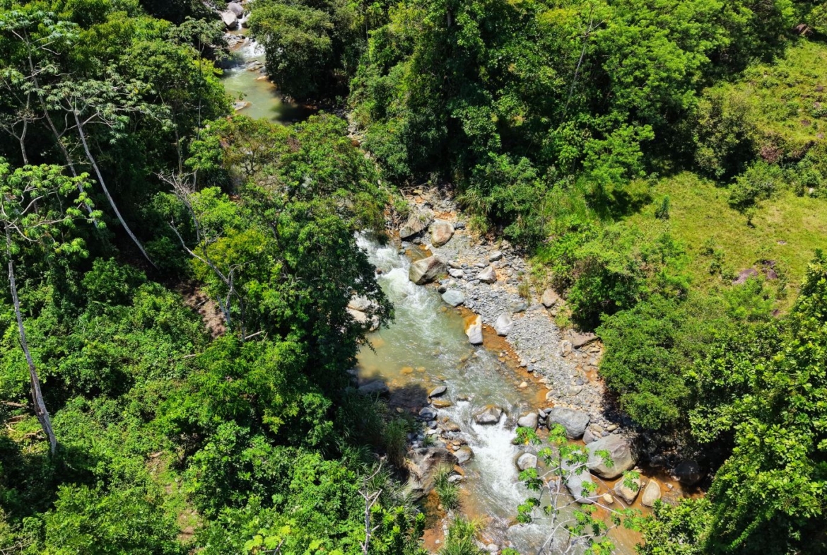 Aerial view of a rocky river winding through dense green forest. Readable from above, a narrow waterway with boulders.] , but I must fix.