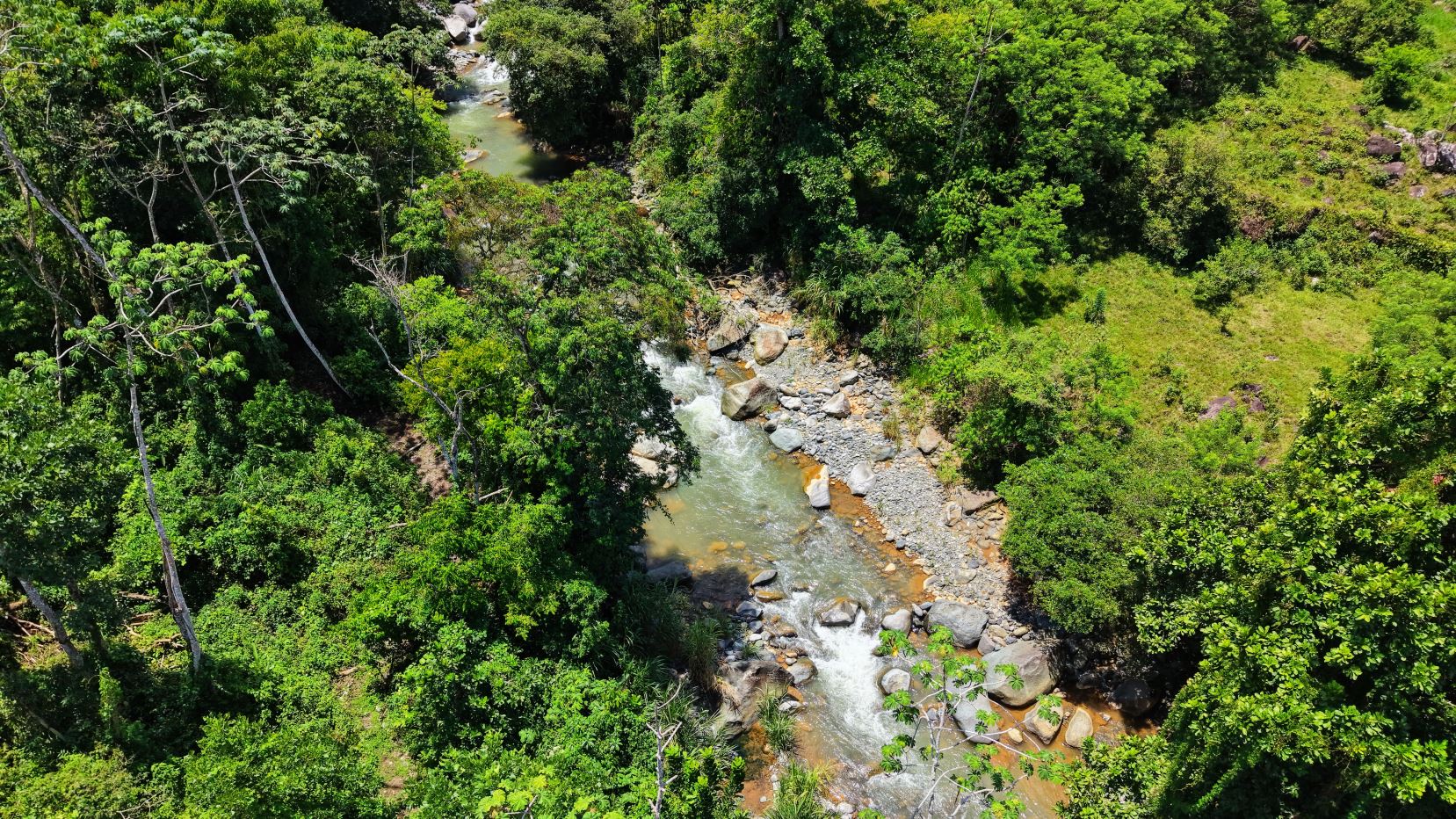 Aerial view of a rocky river winding through dense green forest. Readable from above, a narrow waterway with boulders.] , but I must fix.