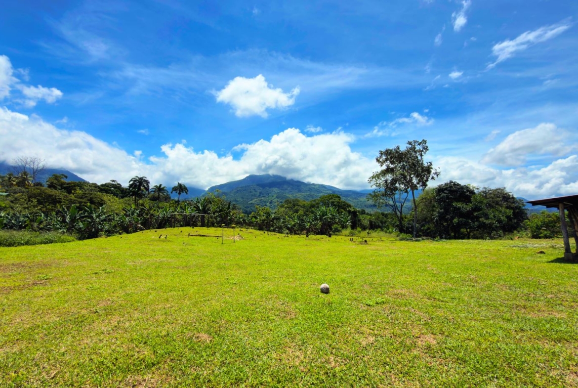 Wide grassy field with distant mountains, blue sky and scattered clouds; banana trees and a simple shed on the right.