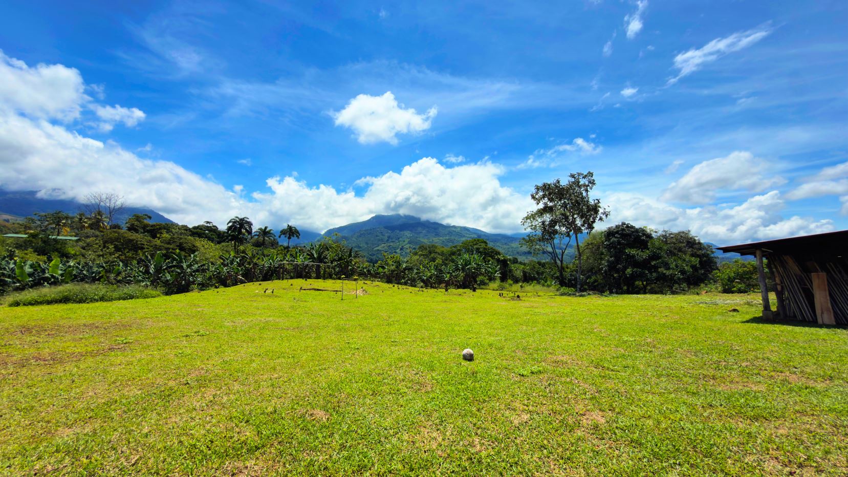 Wide grassy field with distant mountains, blue sky and scattered clouds; banana trees and a simple shed on the right.