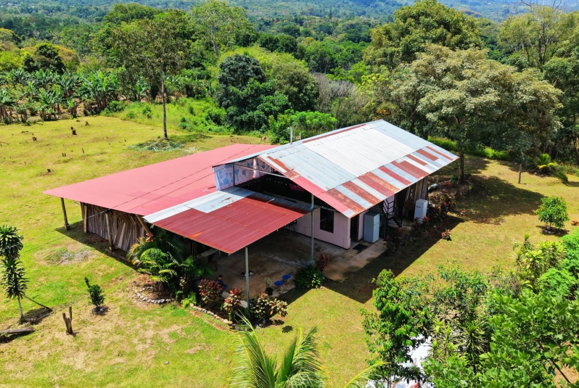 A single-story house with a red and corrugated metal roof in a grassy, tree-filled yard from above.