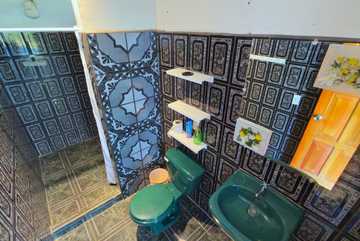 Bathroom with bold black geometric tiles, green toilet and sink, glass shower, and white shelves holding toiletries and paper towels.