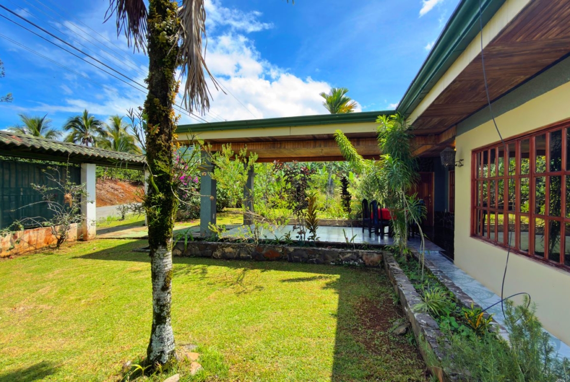 Tropical yard with palm trees, a grassy lawn, and a covered patio beside a yellow house with large wooden-framed windows.